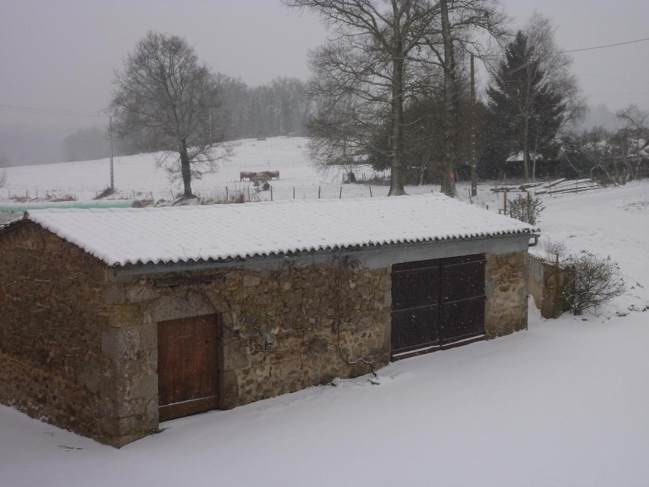 L'Hirondelle Chambres D'Hotes Saint-Mathieu Exteriör bild